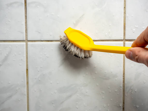 Best Home Mold Removal  in Claremont, CA