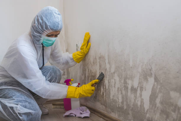 Best Emergency Mold Removal  in Claremont, CA