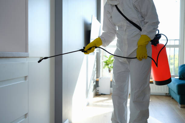 Best Mold Testing  in Claremont, CA