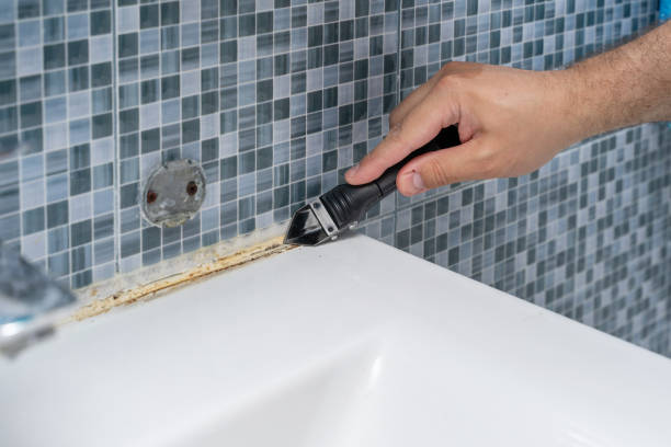 Best Best Mold Removal Companies  in Claremont, CA