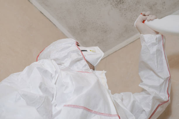 Best Residential Mold Removal  in Claremont, CA