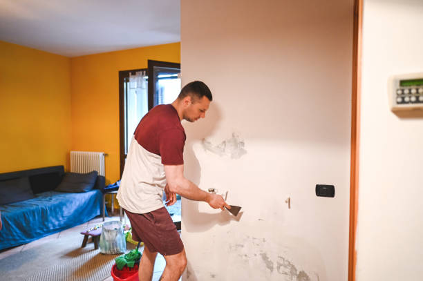 Best Same-Day Mold Removal  in Claremont, CA
