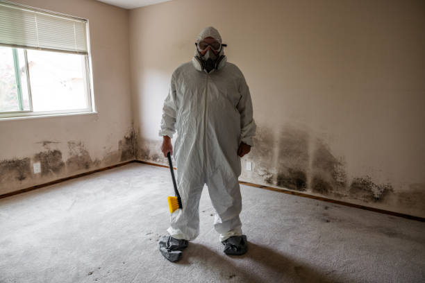 Best Same-Day Mold Removal  in Claremont, CA