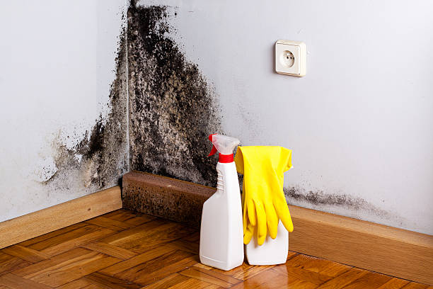 Best Crawl Space Mold Removal  in Claremont, CA
